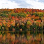 North America's Fall Foliage: A Breathtaking Natural Display