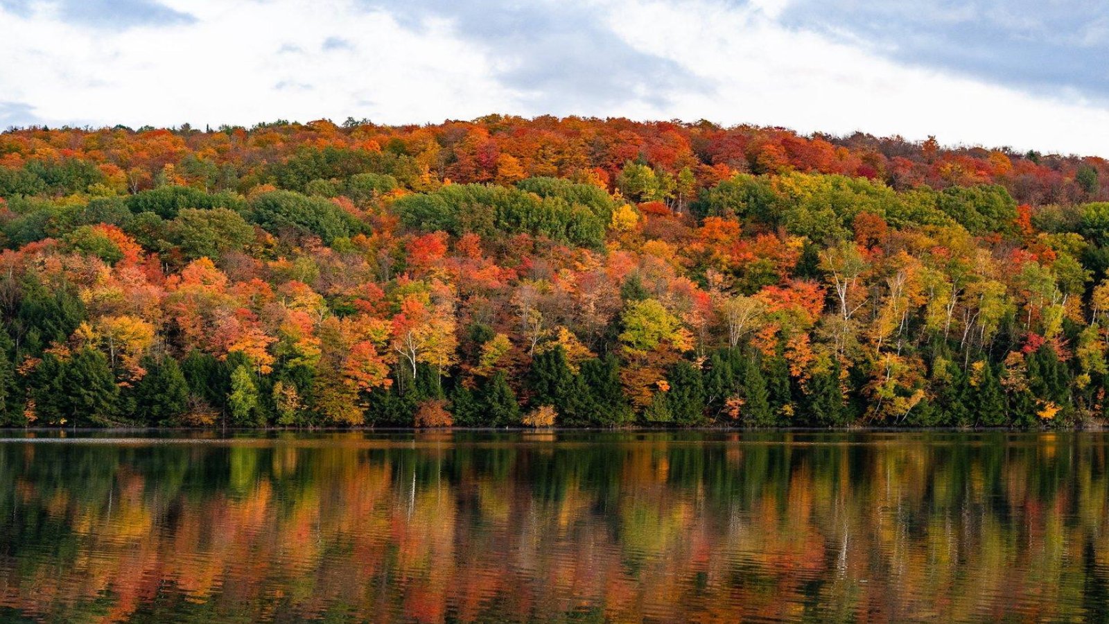 North America's Fall Foliage: A Breathtaking Natural Display