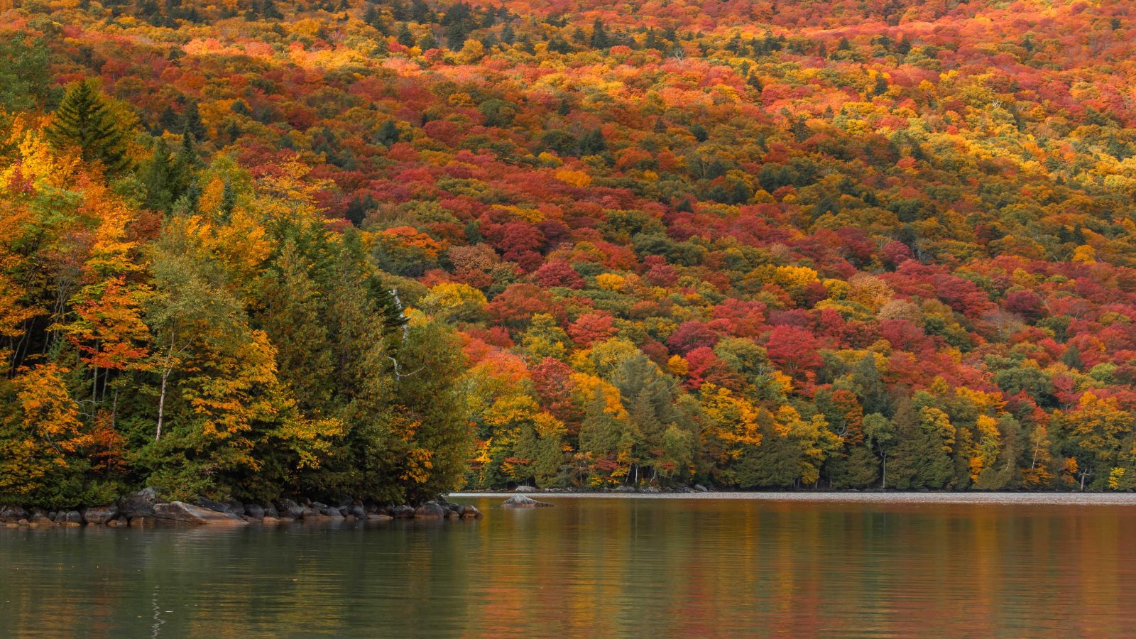 Conservation and Preservation of Fall Foliage Areas