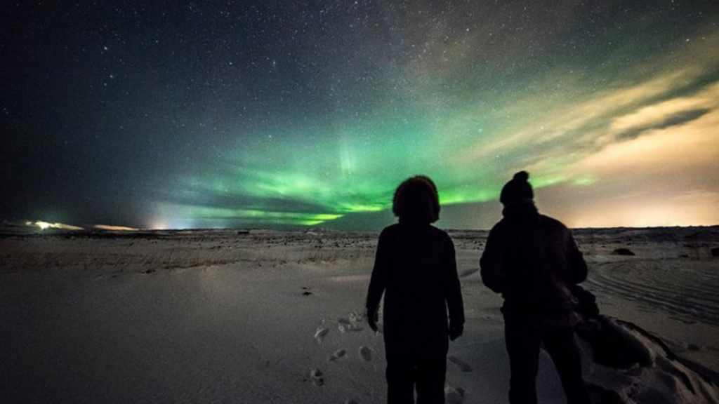 Witness the Northern Lights on a Bus Tour