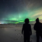 Witness the Northern Lights on a Bus Tour