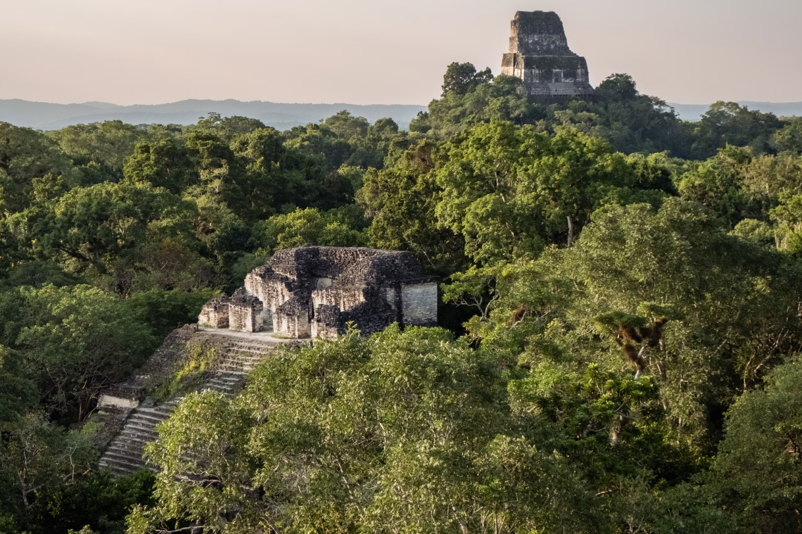 How To Visit Tikal Mayan Ruins: Complete Guatemala Guide