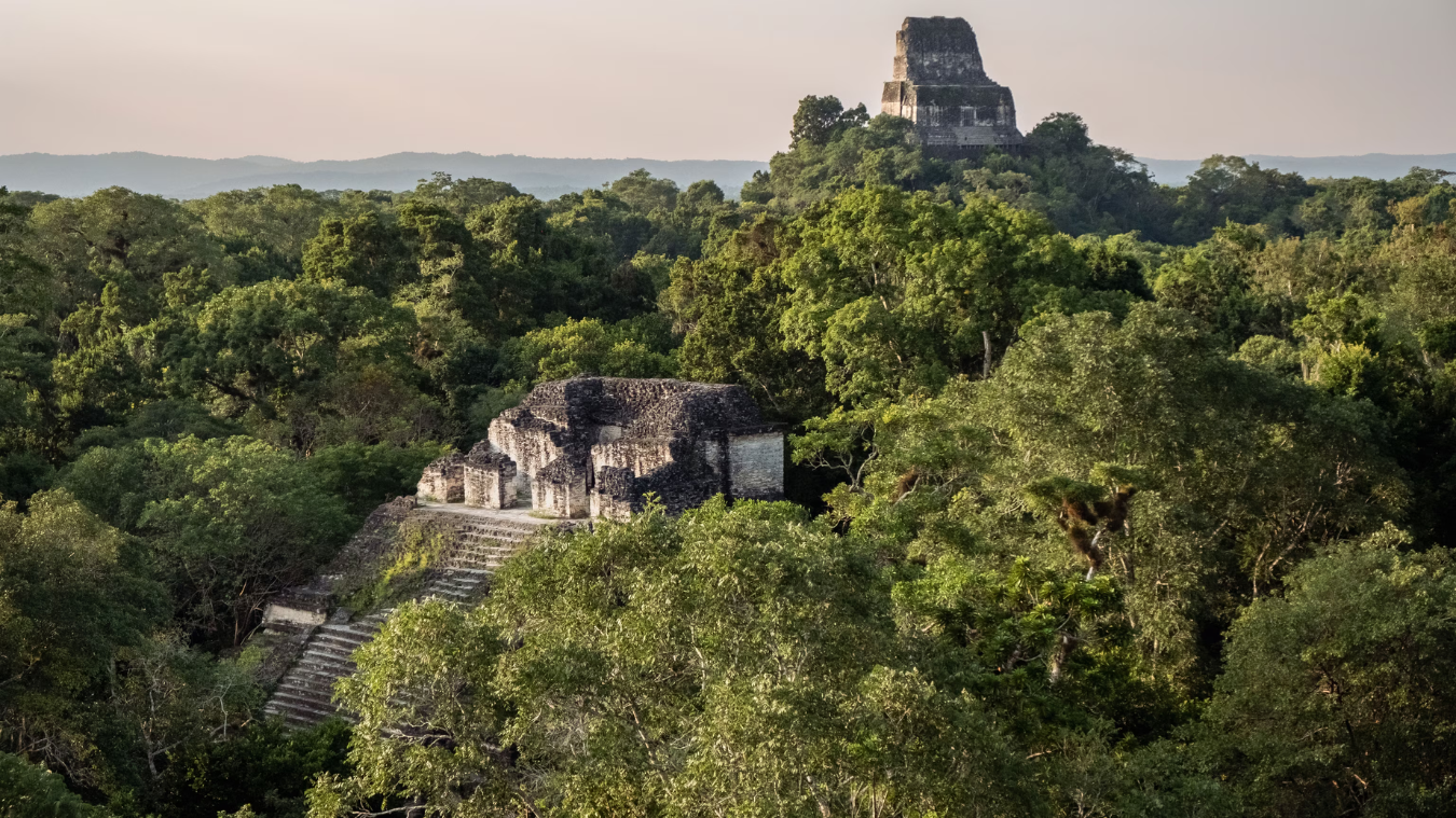 How To Visit Tikal Mayan Ruins: Complete Guatemala Guide