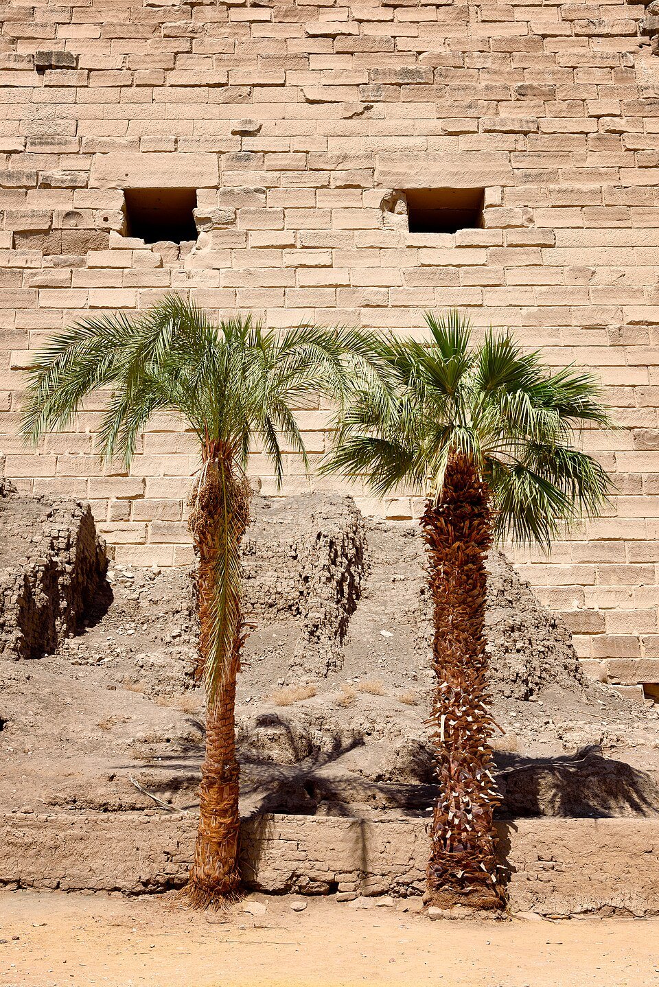 Karnak temple columns in Luxor Egypt