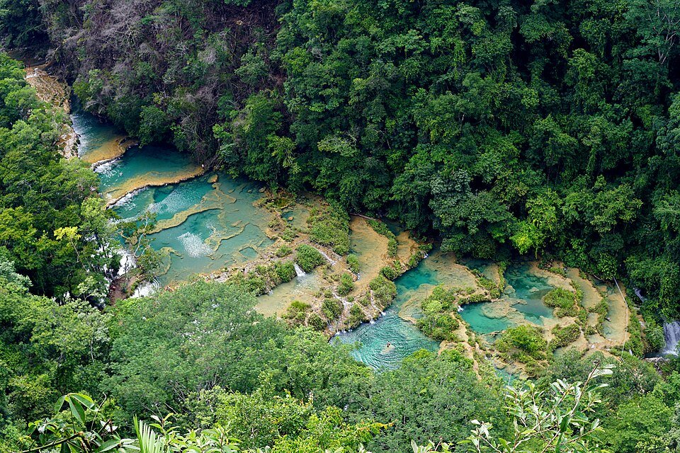 Turquoise pools with tropical forest at Semuc Champey