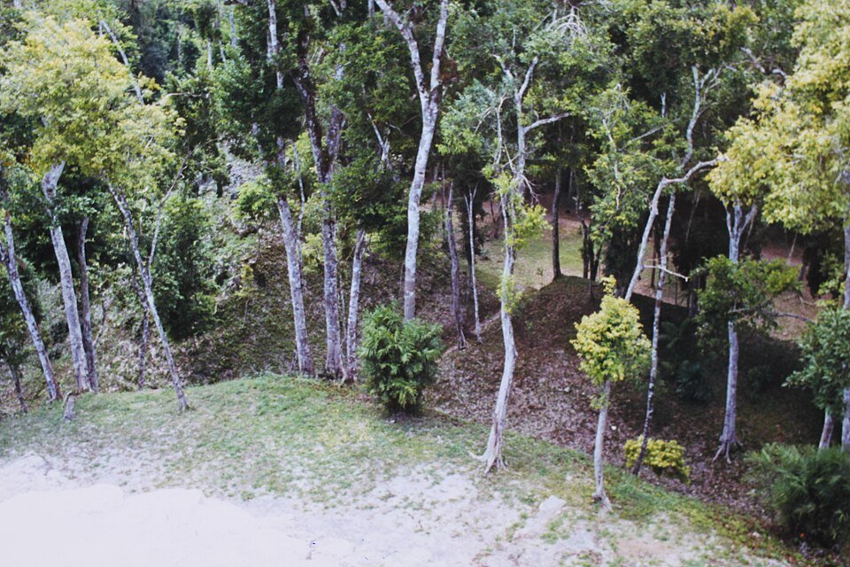 How to Visit Yaxhá Mayan Ruins from Flores: Tickets, Transport and Tips